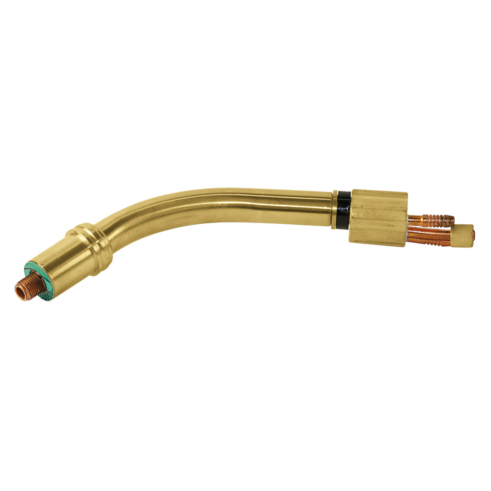 PGC0500202_425495_MB24_Schwanenhals_(M1)