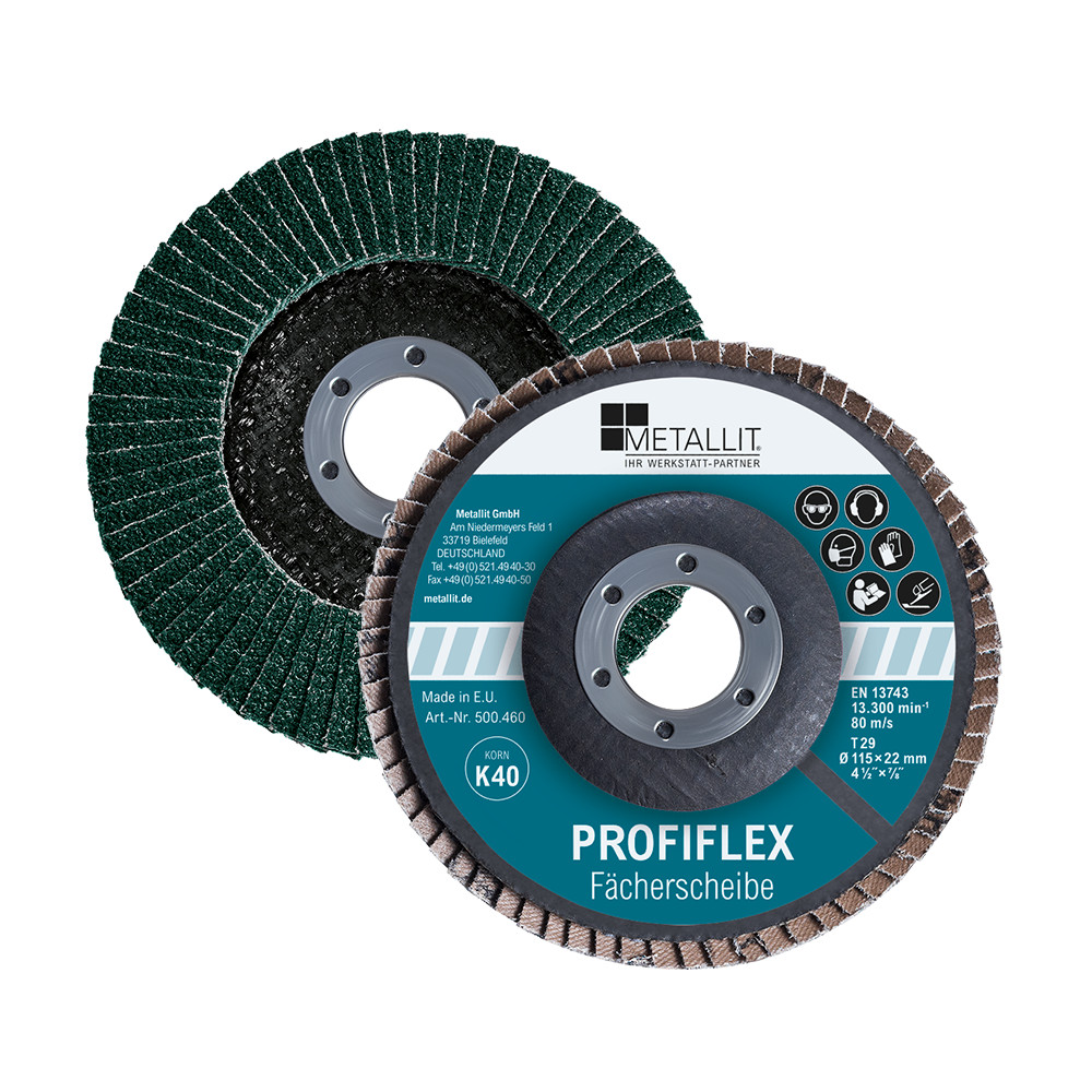 PGC0600200_500460_Profiflex_Faecherscheibe_(P1)