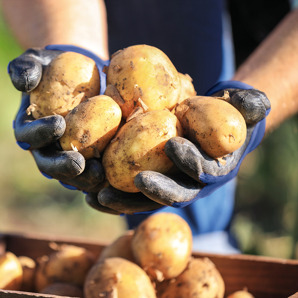 PGC0400102_463820_Ventus_Air-Tec_Montagehandschuh_(A5)