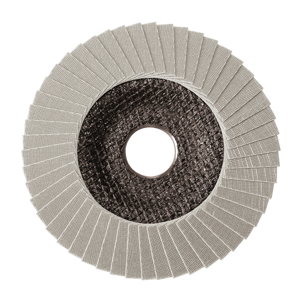 PGC0600300_500340_Inox-Finish_Faecherscheibe_(M)