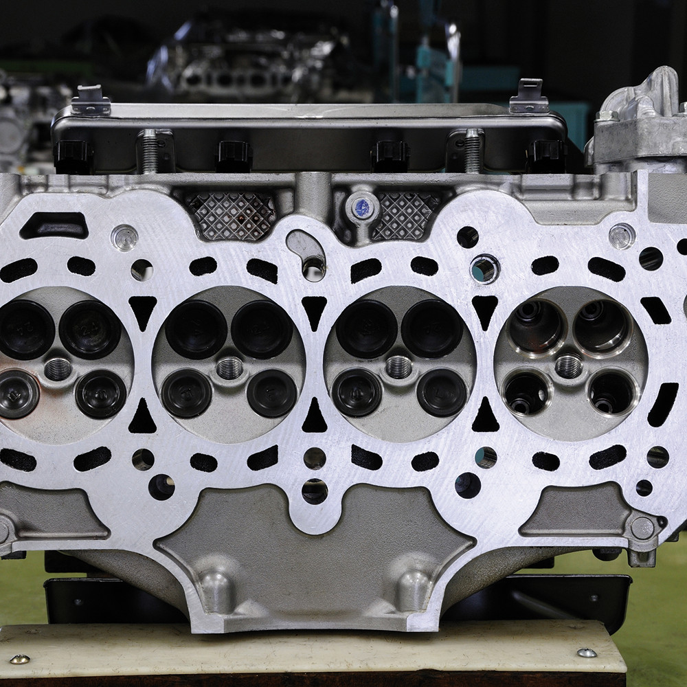 PGC0300701_387302_Meta-Press_(A)