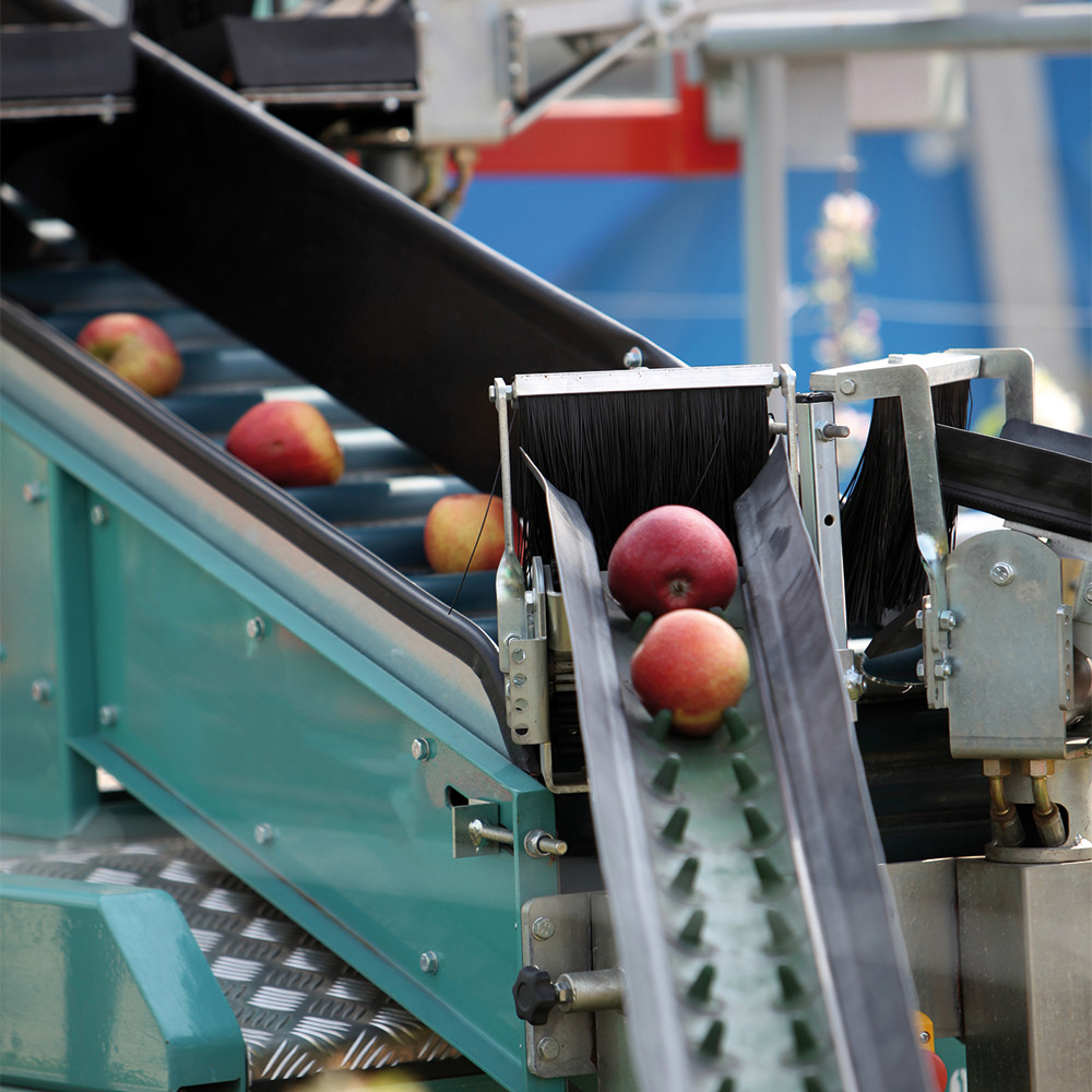 PGC0300302_394502_Lubrisept-Food_(A)